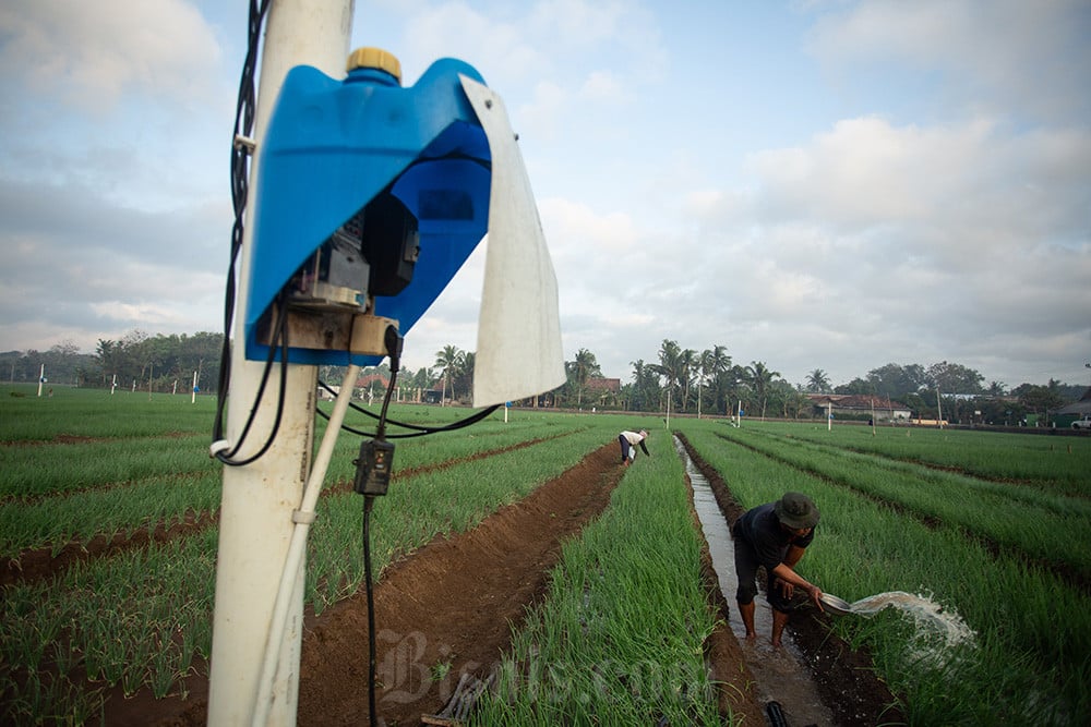 Petani Manfaatkan Tenaga Listrik Saat Musim Kemarau